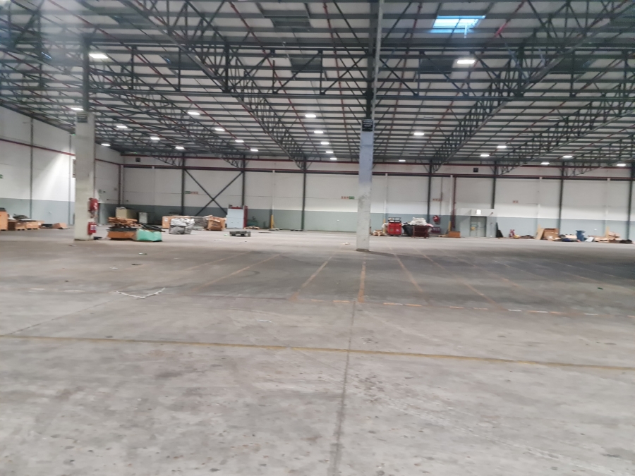 To Let commercial Property for Rent in Asla Park Western Cape